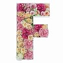 2FT DIY Mosaic Balloon Letter F Frame, Fillable Party Backdrop Decor
