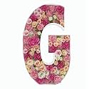 2FT DIY Mosaic Balloon Letter G Frame, Fillable Party Backdrop Decor