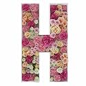 2FT DIY Mosaic Balloon Letter H Frame, Fillable Party Backdrop Decor