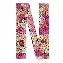 2FT DIY Mosaic Balloon Letter N Frame, Fillable Party Backdrop Decor