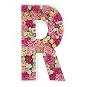 2FT DIY Mosaic Balloon Letter R Frame, Fillable Party Backdrop Decor