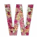 2FT DIY Mosaic Balloon Letter W Frame, Fillable Party Backdrop Decor