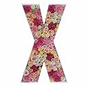 2FT DIY Mosaic Balloon Letter X Frame, Fillable Party Backdrop Decor