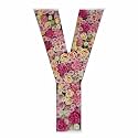 2FT DIY Mosaic Balloon Letter Y Frame, Fillable Party Backdrop Decor