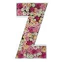 2FT DIY Mosaic Balloon Letter Z Frame, Fillable Party Backdrop Decor