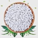 2LB White Succulent and Cactus Gravel Pebbles - 1/5 Inch Natural Stones for Plants, Vases, Aquariums, Terrariums, and Outdoor Gardening