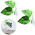 2Pack Beta Leaf Bed Fish Resting Leaf Betta Hammock Beta Tank Decorations Aquarium Plants Betta Fish Accessories for Small Tank