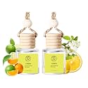 2Pack Lemon Scented Automotive Air Freshener Set,Car Accessories Decoration Hanging Scented Car Diffuser for Men Women Best Gifts