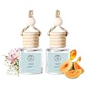 2Pack Ocean Breeze Scented Automotive Air Freshener Set, Car Accessories Decoration Hanging Scented Car Diffuser for Men Women Best Gifts