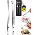 2pcs 10" long Tweezers for crafts & Plants - Large Tweezers Multi Purpose