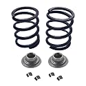 2pcs 18lb Valve Spring Retainers and Locks For Predator 212cc Hemi Non-Hemi