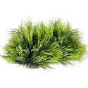 2pcs Aquarium Plants Decorations Artificial Fish Tank Plants Plastic Fish Tank Accessories Green Natural Style Aquarium Plants