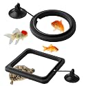 2PCS Fish Feeding Ring,Fish Feeder Circle Aquarium and Tank Floating Rings Food Feeders with Suction Cup for Goldfish Turtle and Other Smaller Fish (Round and Square, Black)