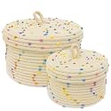 2pcs Small Basket, Cute Basket with Lid & Decorative Bin for Storage