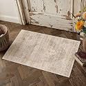 2x3 Beige Farmhouse Area Rug