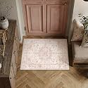 2x3 Pink Neutral Area Rug