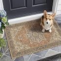 2x3 Terracotta Rust Earth Tone Vintage Boho Oriental Soft Washable Area Rug