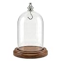 3"x4-1/2" Pocket Watch Glass Display Dome Cloche Real Walnut Wood Base & Silver/Chrome Metal hook