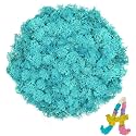 3.5 OZ Blue Reindeer Moss, Preserved Moss for Plants, Moss Decor, Green Moss for Crafts, Moss for Potted Plants, Craft Decorative Moss Decor, Dried Moss