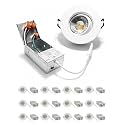 3 Inch LED Recessed Light, Adjustable Canless Downlight, White 12P