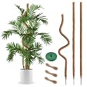 3 Pack Moss Pole 63 Inch Monstera Plant Sticks Support Tall Long Stakes