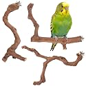 3-Piece Premium Bird Perch Stand with Natural Grape Wood Branch, Paw Grinding Fork, Chewing Stick, Cage Accessories for Parakeets, Budgies, Cockatiels, Finches, Lovebirds