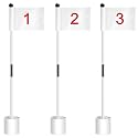 3 Set Golf Flagsticks Putting Green Flags for Yard, Stylish, Mixed