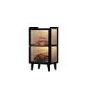 3-Tier Acrylic Display Case, Clear Showcase Cabinet for Collectibles, Simple Floor Storage Shelf, Multi-Layer Open Design, No Door Display for Home &amp; Office Use