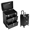 Professional Rolling Makeup Train Case with 2 Drawers,Black