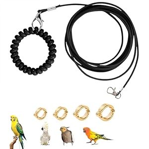 300 cm bird harness with 4 different size foot ring with anti lost bracelet retractable anti-bite parrot harness bird flight training rope for budgiescockatiels black