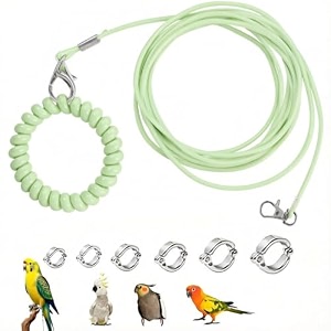 300 cm bird harness with 6 different size foot ring with anti lost bracelet retractable anti-bite parrot harness bird flight training rope for budgiescockatiels green