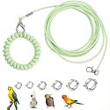 300 cm Bird Harness, with 6 Different Size Foot Ring, with Anti Lost Bracelet, Retractable Anti-Bite Parrot Harness, Bird Flight Training Rope for Budgies,Cockatiels (Green)