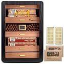 300-Count Black Cigar Humidor Cabinet with Digital Hygrometer