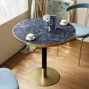 31.5'' Tulip Table, Round Dining Table with Sintered Stone Tabletop