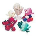 33016-16 Nasal Mask, Medium, Fresh Mint, Single-Use (Pack of24)