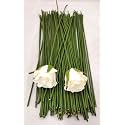 12 Inch Green Floral Stem Wire Crafting Floral Paper Wrapped Wire for Artificial Flowers Making, Plant Stub Stem, DIY Flower Arrangement (100 Piece, Green Floral Wire)