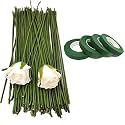 12 Inch Dark Green Floral Stem Wire Crafting Floral Paper Wrapped Wire for Artificial Flowers Making, Plant Stub Stem (100 pc wire &amp; 4pc Tape, Green Floral Wire with Green Floral Tape)