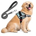 3D Cube Dog Vest Harness with Leash