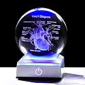 3D Human Heart Crystal Ball Cardiologist Decor Gifts, 3.15'' LED Light Base