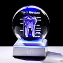 3D Human Tooth Crystal Ball Anatomy Model Gifts for Dentist, LED Light Base
