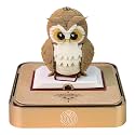 3D Memo Pad Time Piece Calendar 2027, 3D Tear-Off Art Desk Calendar 2027, Creative 3D Memo Pad Paper Art Tree House DIY Paper Carving Decoration (Magic Eagle)