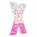 3FT DIY Mosaic Balloon Letter X Frame, Fillable Party Backdrop Decor