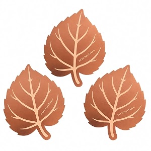 3Pcs Bird Bath Copper Disk 99.99 Pure