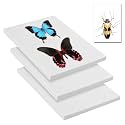Saihisday 3Pcs Insect Pinning Board Specimen Display Panel EVA Foam Boards, Specimen Spreading Board Butterfly Spreading Wings for Science Education Project/Bugs Collection