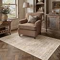 3x5 Beige Farmhouse Area Rug