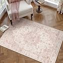 3x5 Pink Neutral Area Rug