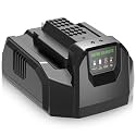 4.0A CH2100 Charger Replacement for EGO 56V Battery Charger(Black)