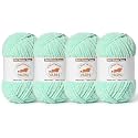 4 Pack Mint Green Fluffy Velvet Yarn for Crocheting, Chunky Chenille Baby Blanket Yarn for Crochet, Soft Fuzzy Puzzle Yarn for Knitting, (100g/3.53oz Each) Bulky Thick Amigurumi Crochet Yarns