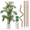4 Pack Moss Pole 63 Inch Monstera Plant Sticks Support Tall Long Stakes