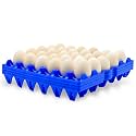 4-Pack Plastic Egg Tray Egg Crate, 30-Egg Flats for Home Chicken Farmers, Stackable &amp; Durable, Great for Storing, Sorting &amp; Shipping, and Reusable (4-Pack Blue)